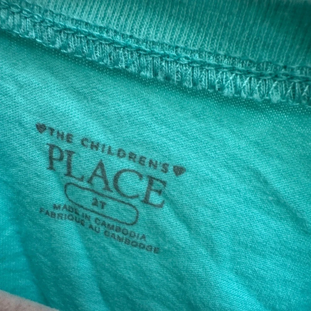 The Children’s Place 2T Girl Green Multicolor Nana Knows Best Short Sleeve Shirt